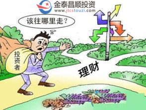 深圳市金泰昌順投資管理 聚焦四大投資主線，驅動價值成長新篇章